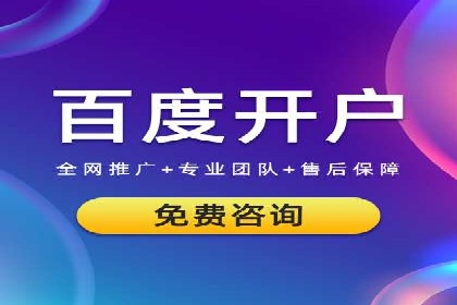案例解析：SEM竞价策略优化技巧